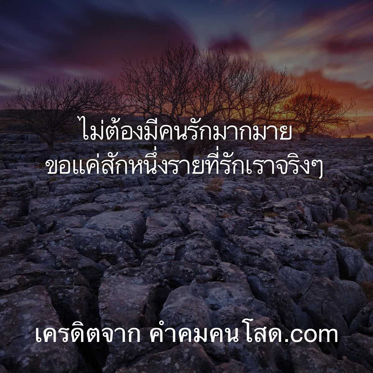 ขอมาจัดไป 94 คำคมคนโสด อย่าเดินวนเหมือนนาฬิกา⌚  ให้เดินไปข้างหน้าเหมือนปฏิทิน​